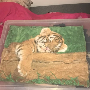  kuddfodral me tiger - Jätte cute kuddfodral me tiger på dock ett litet fimphål på syns knappt 