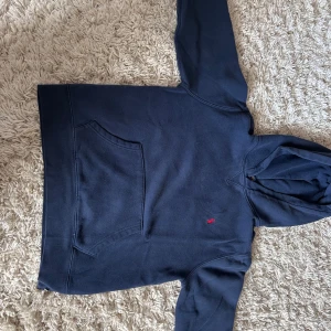 Ralph Lauren hoddie - Mycket bra skick, använd fåtal gånger. 