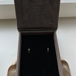 Örhängen Edblad - Örhängen från Edblad i mycket fint skick.  Diameter 10 mm.  Material: blankt 14k guldplätering på rostfritt stål. Nickelsäckert.  Ask medföljer ej.