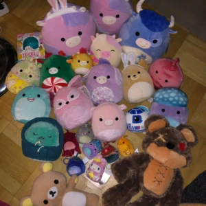 Squishmallow  - Squishmallows i nyskick  Använda som prydnad  Skriv för pris, kan ge paketpris 