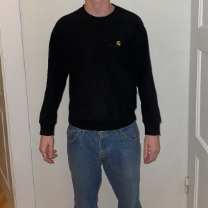 Carhart sweatshirt - Carhart sweatshirt, knappt använd. Storlek S men passar M
