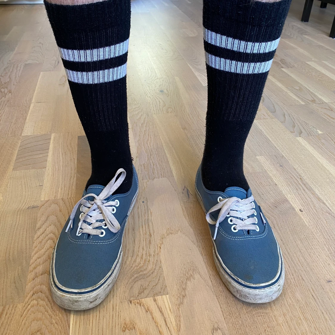 Vans Authentich Blåa