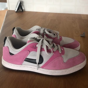 Nike SB - Nike SB skor i färgen magic flamigo/black/photon dust/white, bra skick men använda. Storlek 40,5 men mer än 39/40. Frakt ingår🥰