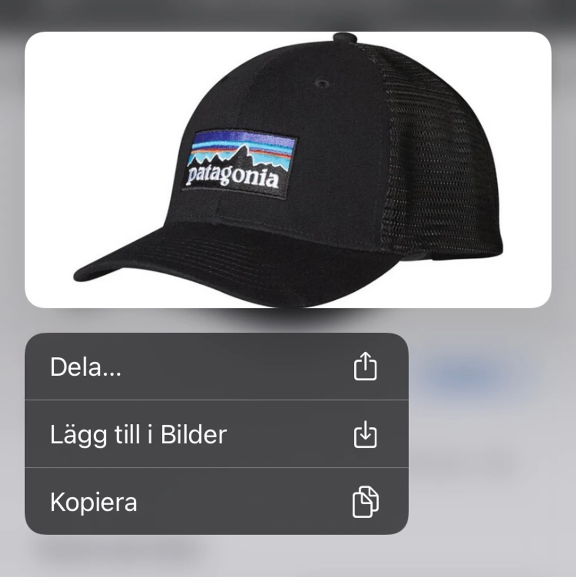 Patagonia Keps - 90