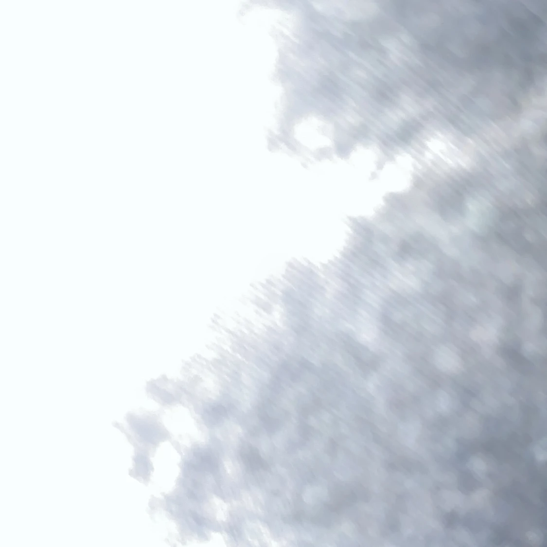 Ett par svarta duvor 