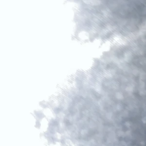 Ett par svarta duvor  - Duva 