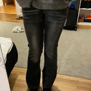 Lee - assnygga lågmidjade bootcut Lee jeans i en grå färg:) strl W28L31, lite för korta för mig som är 172cm tyvärr;( MÅTT: innerben 77cm, midja 79cm<3 (skriv privat om ni undrar något) 