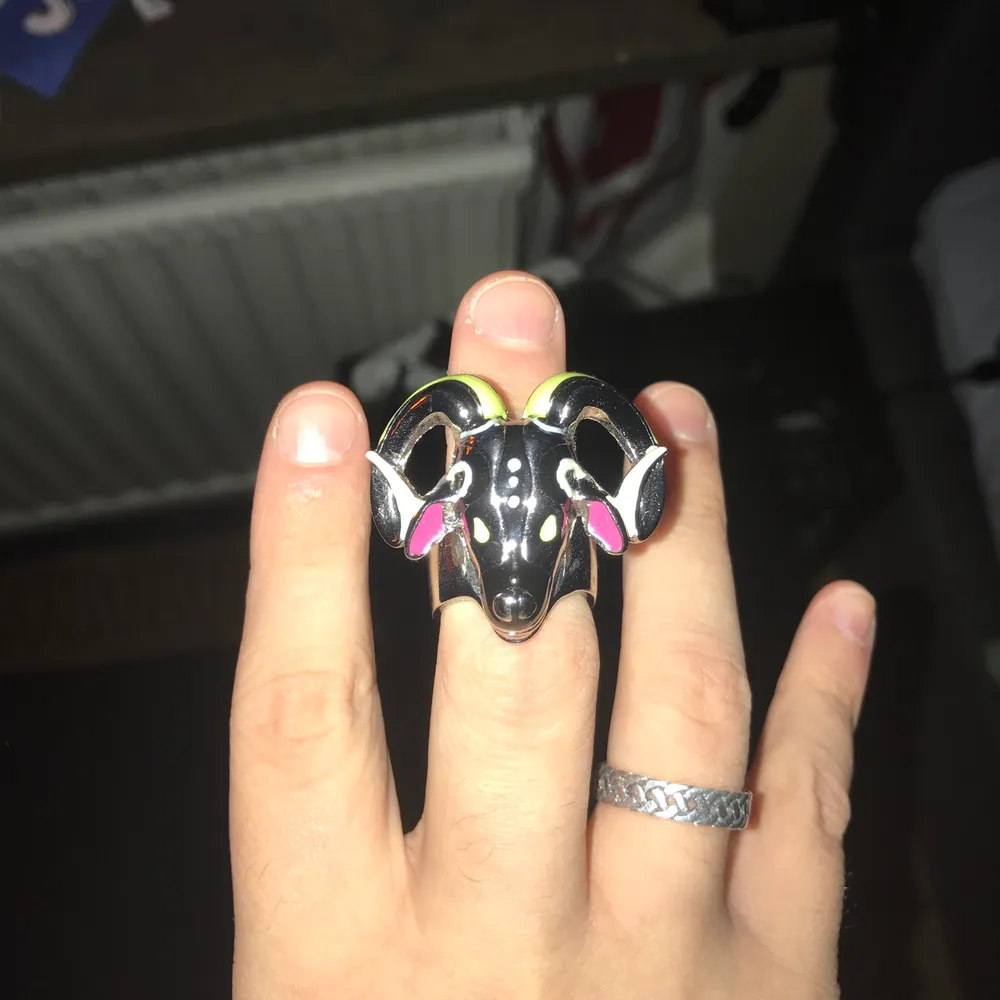 En ascool ring gjord i metall. Köptes på sellpy men säljs då den inte passade mig. Möter inte upp någon på grund av Ms.Rona men vi delar på frakten:). Accessoarer.