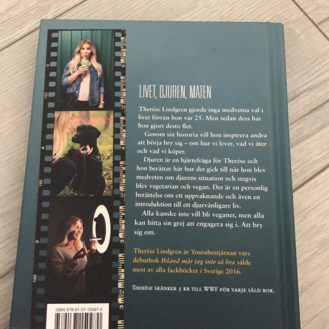 Therése Lindgren bok - 91