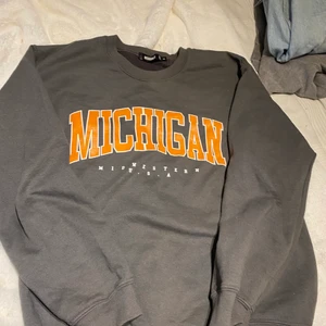 Michigan  - Michigan sweatshirt grå 