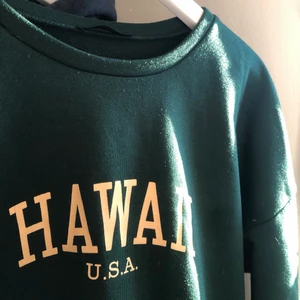 Shein - Shein pullover som är en liknanden till en tröja från brandy:) ser snoprig men känns ej om man stryker sin hand mot den, säljs för det inte är min stil nå mer och vill få bort den bara😋