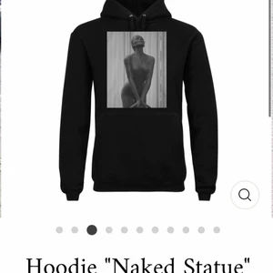 the cool elephant hoodie  - väldigt fin hoodie från the cool elephant som tyvärr inte kommit till användning, därav väldigt fint skick, storlek M, köptes för 600kr men säljs för 300kr, köparen står för frakten 🖤 