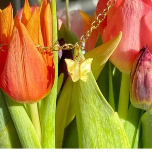 Fjärils halsband - Fjärils halsband💐 49kr+frakt  Finns i olika färger! Skriv i dm om intresse eller frågor!