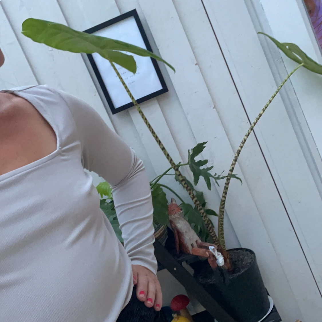 Grå ribbad body - 91