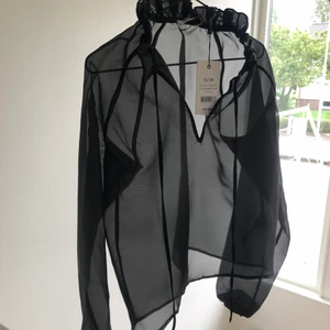 Svart blus NA-KD - Jättefin svart lite transparent festblus från NA-KD som inte kommit till användning. (Prislapp kvar och endast testad) ordinarie pris 399 kr.