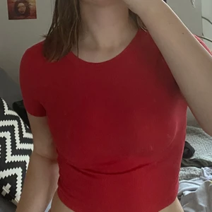 Topp  - Topp från hm, köptes för 100kr säljer för 20,  + frakt 