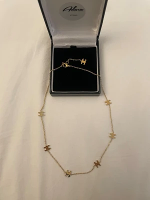 Guldpläterad halsband - Rostfrittstål och guldpläterad, boxen på bilden ingår ej 🌸