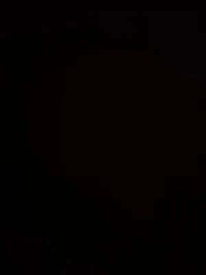 Okänd vara - Bilden är för mörk för att identifiera varan eller ge några detaljer om färg, form, märke eller material.