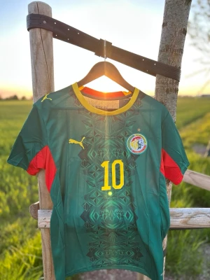 Senegal fotbollströja Puma Mané #10 - Grön Senegal landslagströja från Puma med gula och röda detaljer, nummer 10 och Mané på ryggen. Tröjan har korta ärmar, gul krage och landslagets emblem på bröstet. Perfekt för fotbollsfans som vill visa sitt stöd.