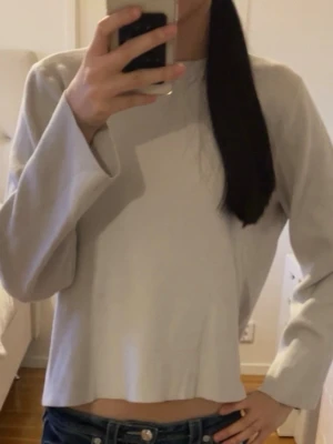 Ljusgrå basic tröja med rund hals - En enkel och stilren ljusgrå tröja med rund halsringning och långa ärmar. Tröjan har en rak passform och är tillverkad i ett mjukt material som känns skönt mot huden. Perfekt att matcha med jeans eller kjol för en clean look. OBS! Lite defekter på baksidan