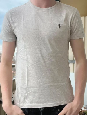 Ralph Lauren T-shirt - Riktigt snygg T-shirt från Ralph Lauren i riktigt bra skick utan hål och märken! Storlek S Nypris~1000kr