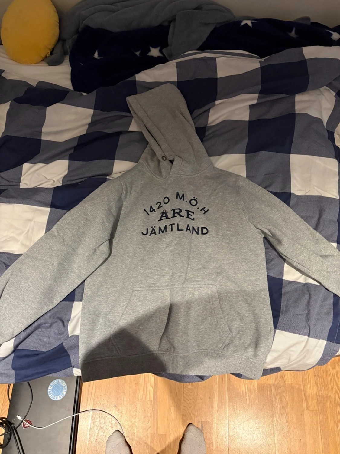 Grå hoodieSU med tryck Åre Jämtland