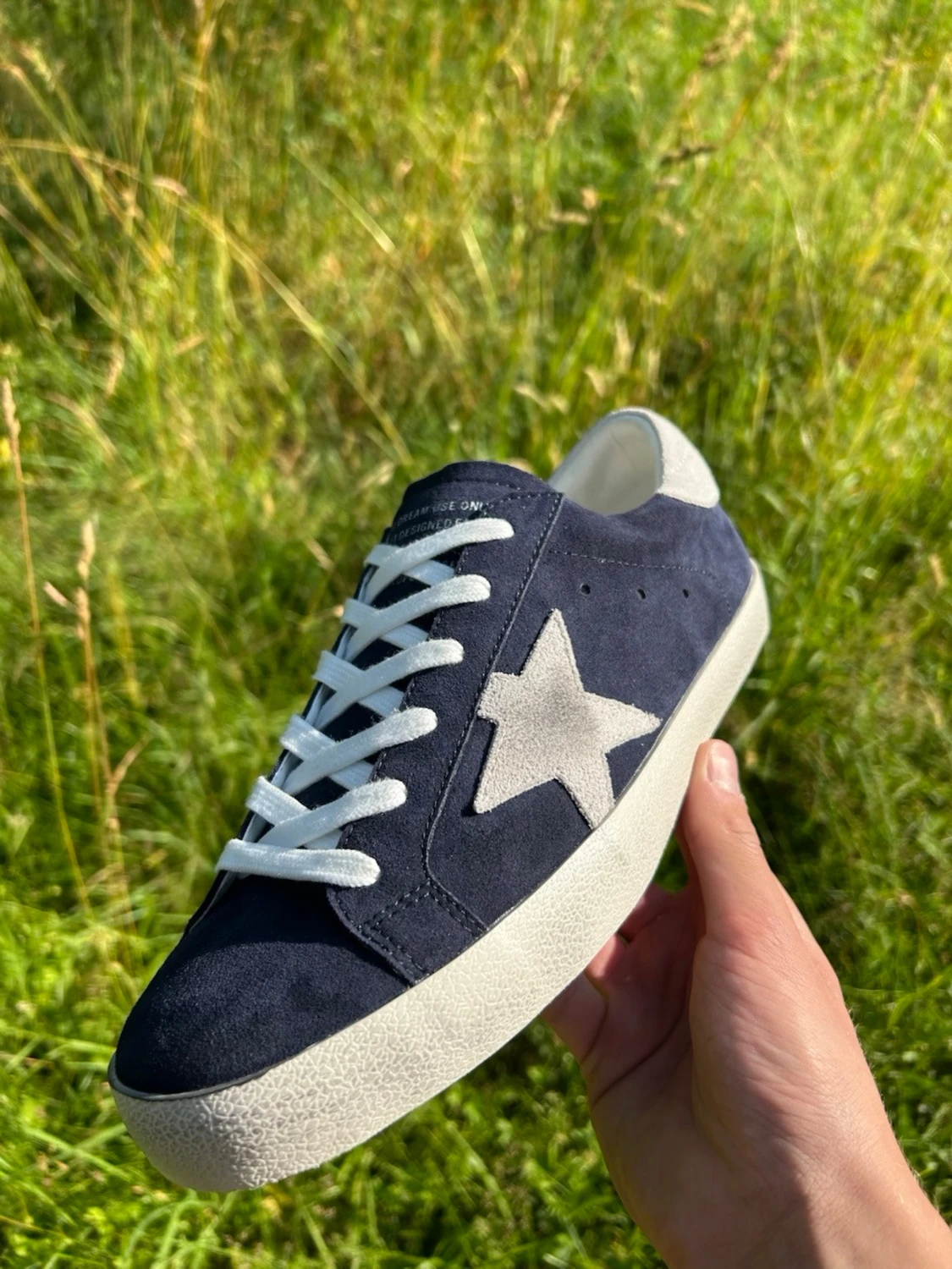 Golden goose - 1