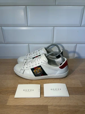 Gucci Ace Tiger - Gucci Ace i mycket bra skick, liten röd missfärgning på ena skon | Storlek: 40 kan passa 41 | Ingår: Kort | Vid frågor eller diskussion om pris är det bara att skriva✍🏼| Frakt inom 48h📦