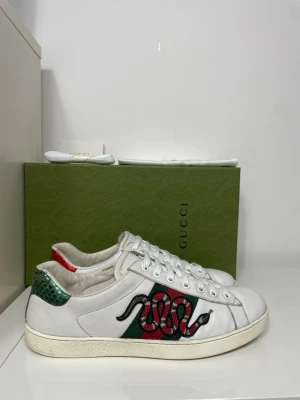 Gucci Ace Skor  - Säljer nu dessa Gucci Ace Skor, skriv för fler bilder/frågor🙌🏼