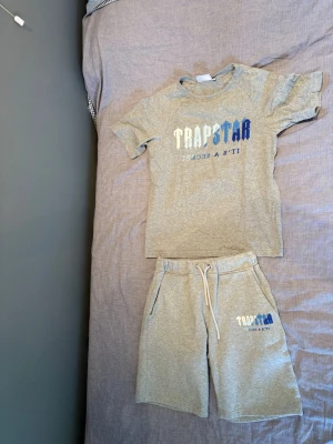 Grå Trapstar t-shirt med tryck - Säljer en grå t-shirt från Trapstar med stort tryck i vitt och blått på bröstet där det står 'TRAPSTAR IT'S A SECRET'. T-shirten har rund hals, korta ärmar och är gjord i mjuk bomull för en chill vibe.