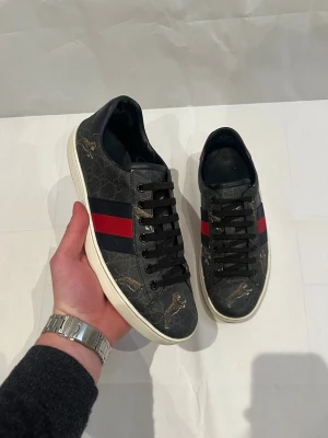 Gucci skor  - Skick: 9/10