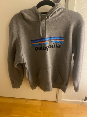 Grå Patagonia hoodie med tryck - Snygg grå hoodie från Patagonia med klassiskt logotryck i blått, rött och svart framtill. Hoodien har huva med dragsko och en stor magficka. Tillverkad i mjukt material som passar perfekt för en avslappnad stil.