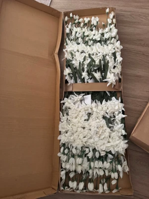 Vita konstgjorda blommor i tyg - Säljer ett stort antal vita konstgjorda blommor i tyg med gröna stjälkar. Perfekta till dekoration, pyssel eller bröllop. Blommorna har en naturlig form och levereras i kartong. Passar dig som vill skapa egna arrangemang eller dekorera hemmet.