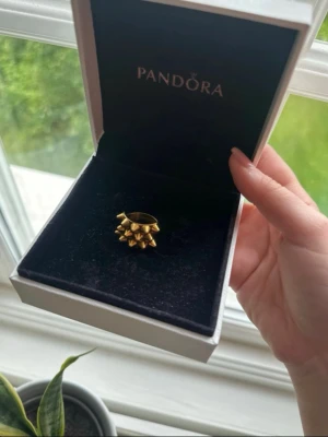 Edblad ring  - Säljer denna fina ring ifrån Edblad med nitar! Ringen är använd ett flertal gånger men i toppenskick utan rost eller saknade bitar. Storlek 18,8 mm = storlek S! Skriv för frågor