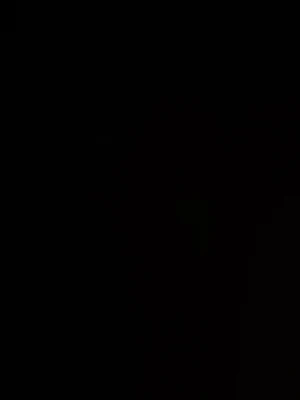 Kurt gierer påse - Påse