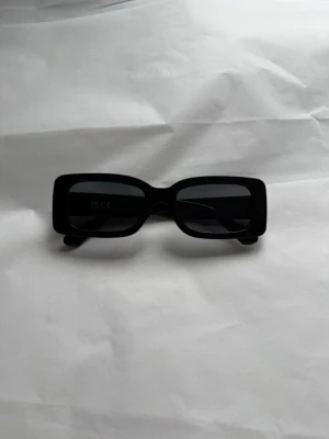 Solglasögon - Helt nya har aldrig kommit till användning.