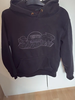 Trapstar hoodie - Den är rätt använd men inget man tänker jätte mycket på i vetkligenheten.