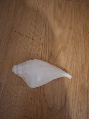 Stor vit snäcka dekoration - Säljer en stor, vit snäcka med mjuka former och en lätt glansig yta. Snäckan har inslag av ljusbeige på insidan och passar perfekt som dekoration i hemmet, till pyssel eller som samlarobjekt.