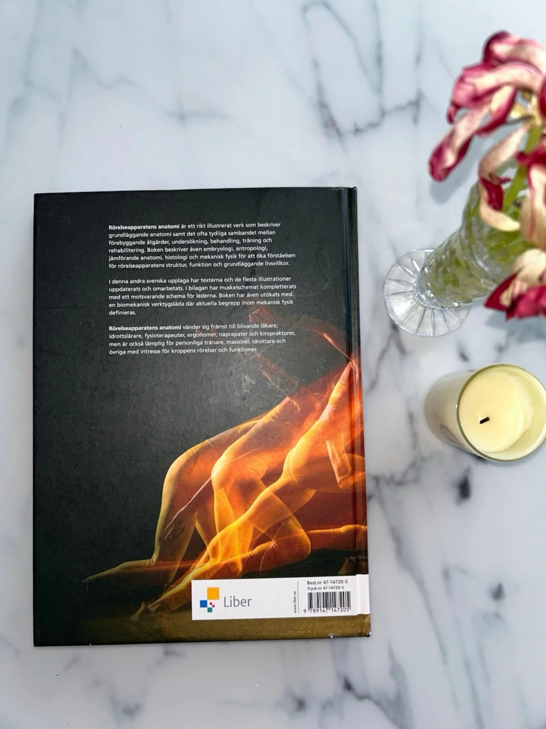 Rörelseapparatens anatomi kursbok - 2