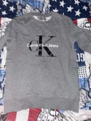 Grå sweatshirt från Calvin Klein Jeans - Snygg grå sweatshirt från Calvin Klein Jeans med stor CK-logga och text på bröstet. Tröjan har rund halsringning och ribbade muddar vid ärmslut och nederkant. Perfekt för en avslappnad och trendig look.