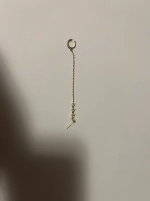 Guldigt hängeörhänge med stenar - Snyggt örhänge i guldton med lång kedja och små gnistrande stenar. Kom dm om du har bud eller frågor 