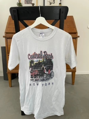 Vit oversized vintage  t-shirt - Säljer en vit t-shirt från Gildan med ett stort tryck av Central Park och New York på framsidan. Motivet visar en häst och vagn framför stadssilhuetten. Klassisk passform och rund hals, perfekt för dig som gillar grafiska tryck och city vibes.