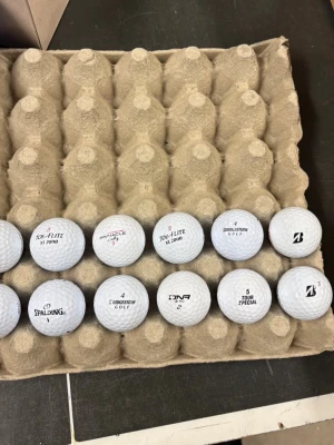 Florida mix  - Jag säljer golfbollar som är i ett bra skick men kan ha lite skrapmärken på sig, men det är ytterst få tillfällen. 12 stycken kan du får för bara 89kr och 24för 145kr