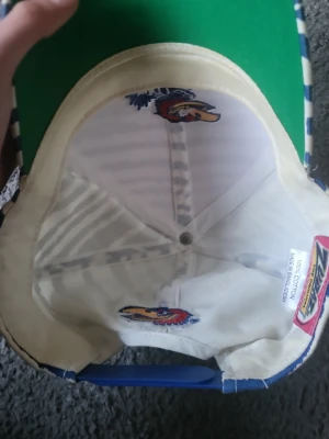 Coola och snygga kepsar - Säljer en keps med en cool och snygg fågel på från zubaz i randig blå och vit färg och en keps med philipp plein märke på i guld färg riktigt snyggt och en keps med en tiger med nät där bak. 1 för 100 och 3 för 250