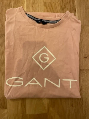 Tröja o kjol  - Säljer min rosa gant T-shirt och en svart kjol från Lindex. Gant T-shiten är änvänd få gånger och är stolek 13-14 år, kjolen är oxå använd få gånger och är o stolek 10-12 år. Kjolen 100kr T-shirten 250kr