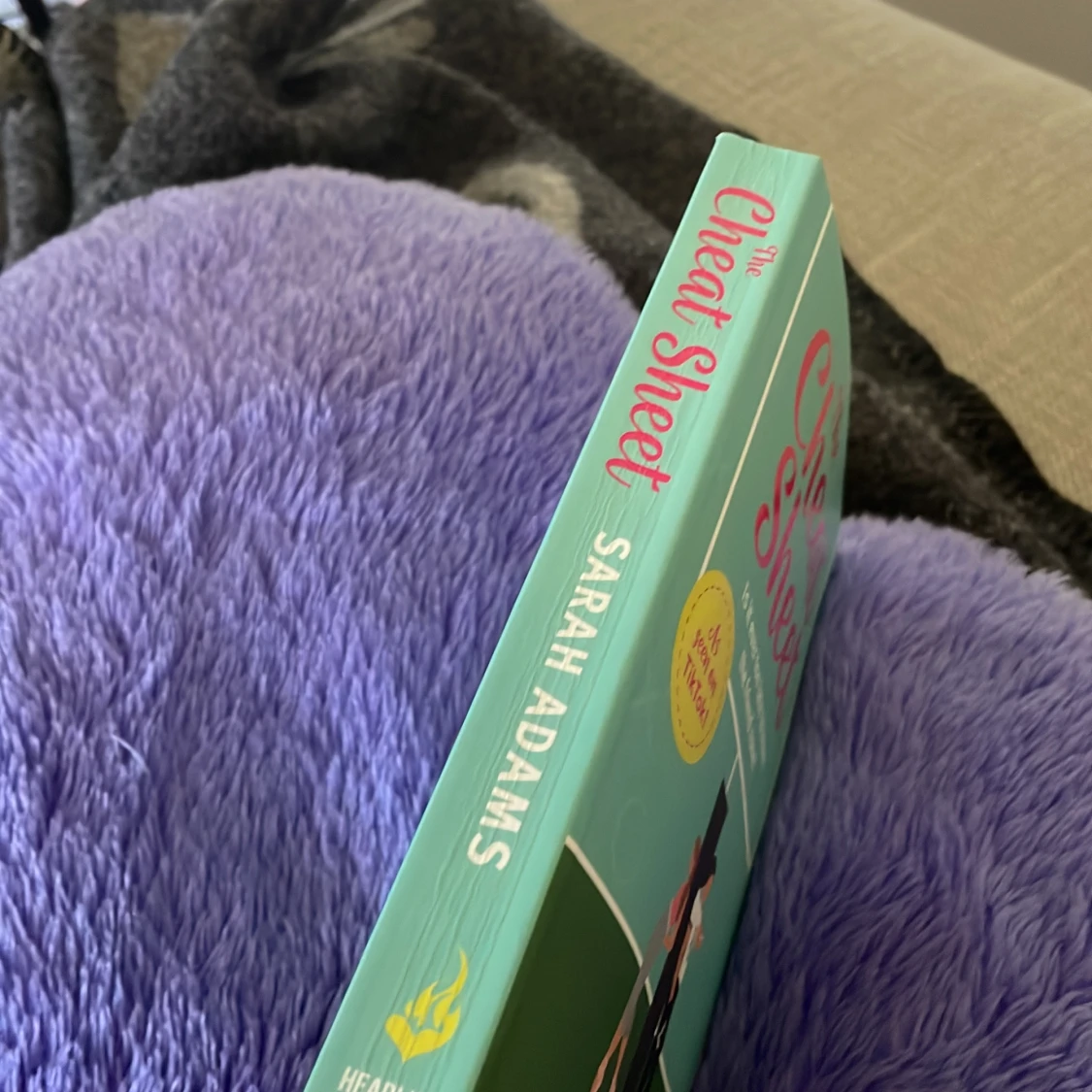 The Cheat Sheet bok  - 91