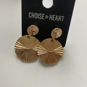 Nya öronhängen  - Nytt  Öronhönge för hål  40 kr