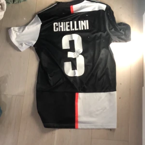 Signerad tröja - Signerad av chiellini.  Skriv vid minsta fundering 