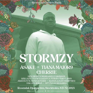 Rosendal garden party. 8/6 Stockholm  - Har 2 biljetter 800 st