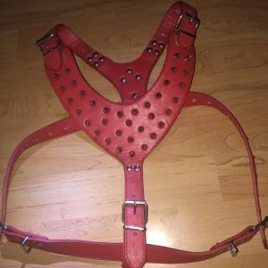 Hundsele - Röd läder sele till hund med nitar säljer den pågrund av att den inte kommer till så mycket användning här hemma, passade min amstaff som har strl Xl/Xxl i vanliga fall och även min franska bulldog som har M i storlek, går att spänna ut och spänna in